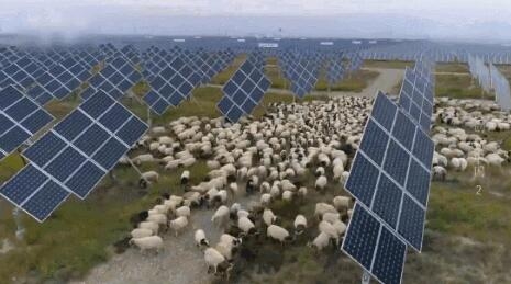 【電廠】2018年水電再次霸屏央視 水光互補項目閃亮登場！【電廠】2018年水電再次霸屏央視 水光互補項目閃亮登場！ 行業資訊 第6張