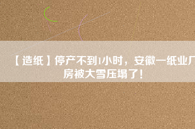 【造紙】停產不到1小時，安徽一紙業廠房被大雪壓塌了！