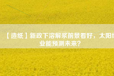 【造紙】新政下溶解漿前景看好，太陽紙業能預測未來？