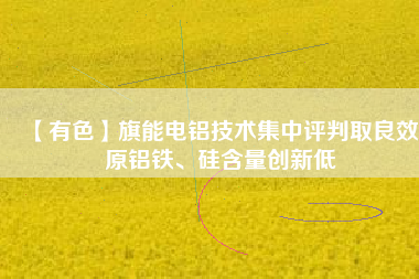 【有色】旗能電鋁技術集中評判取良效 原鋁鐵、硅含量創新低